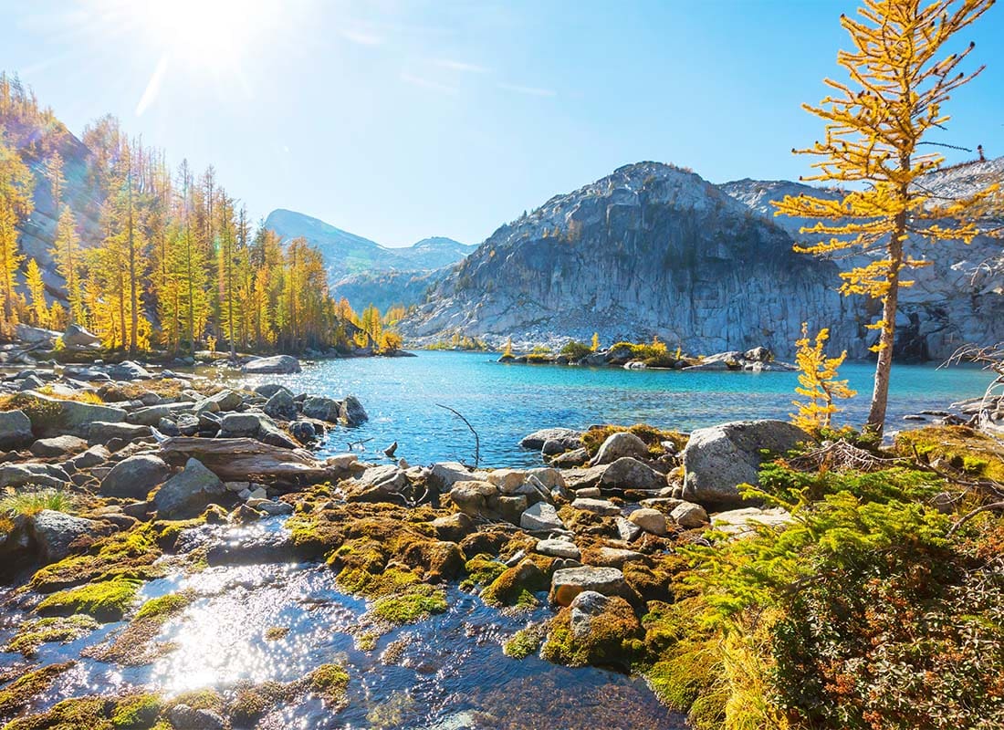 Read Our Reviews - Scenic View of Rocks Along a Lake Surrounded by Fall Colored Trees with Mountains in the Background in Washington State